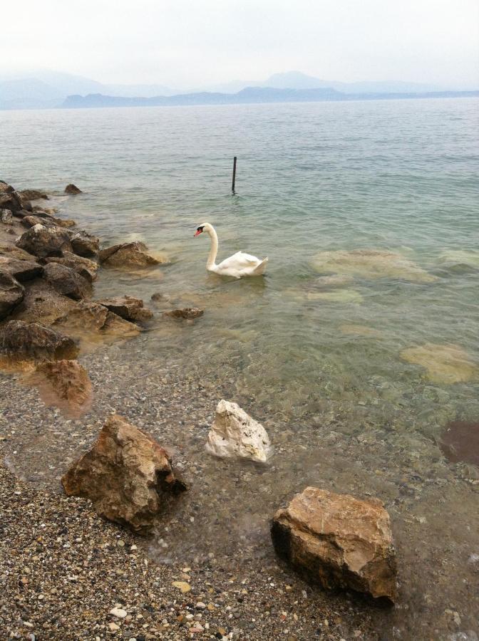 Casa Caterina Lake View Holidays Apartments Peschiera del Garda Zewnętrze zdjęcie